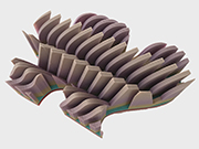 3d object by Anne Farrell
