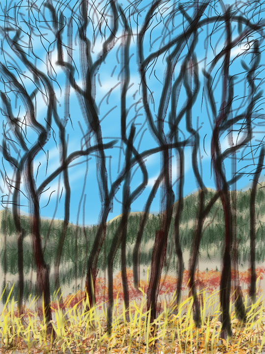 MoraValleyThruTheOaks.jpg