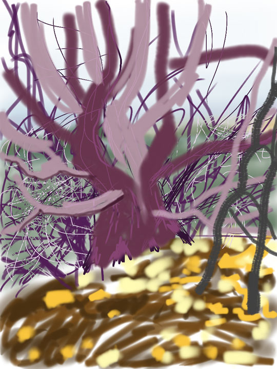 Valley-View-Tree.jpg