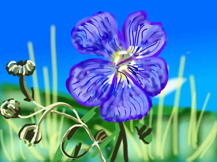 flower-blueflax.jpg