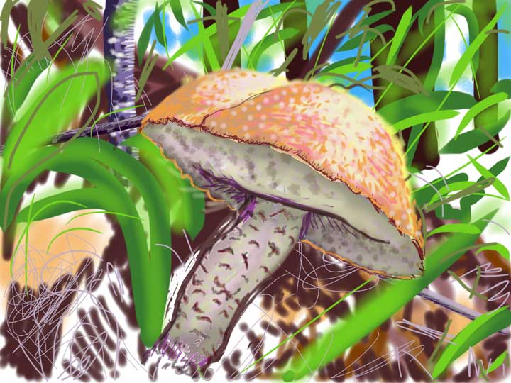 flower-mushroom.jpg