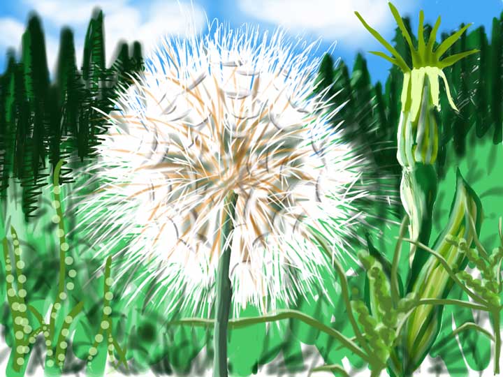 flower-puffball.jpg