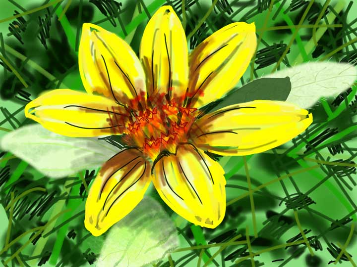 flower-yellow02.jpg