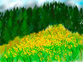 Luna-9-5-15-Yellow-Flower-Cloud_thumb.jpg
