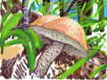 flower-mushroom.jpg