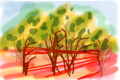traindrawing06web.jpg