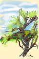 traindrawing23web.jpg