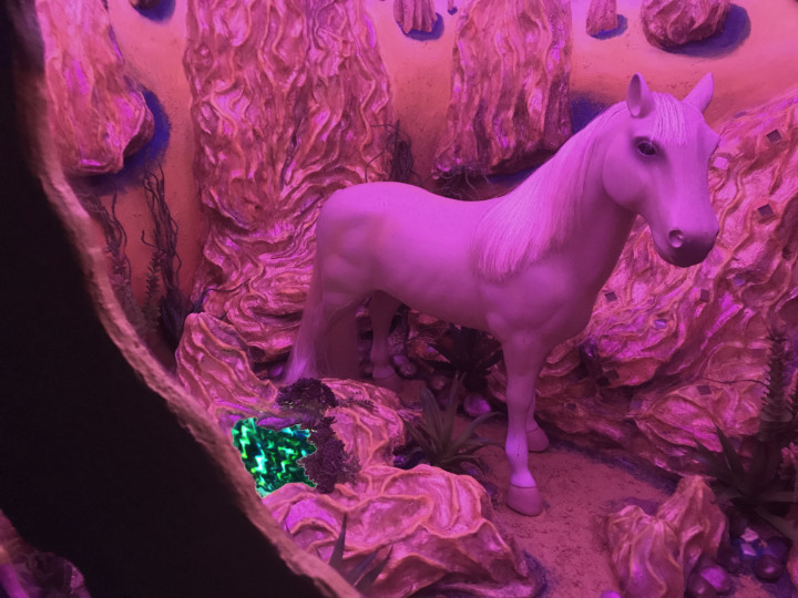 Image of Pal by Anne Farrell 